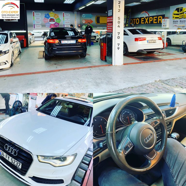 Çırpıcı ekspertiz